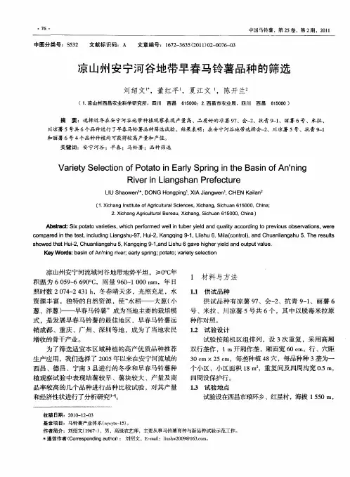 凉山州安宁河谷地带早春马铃薯品种的筛选