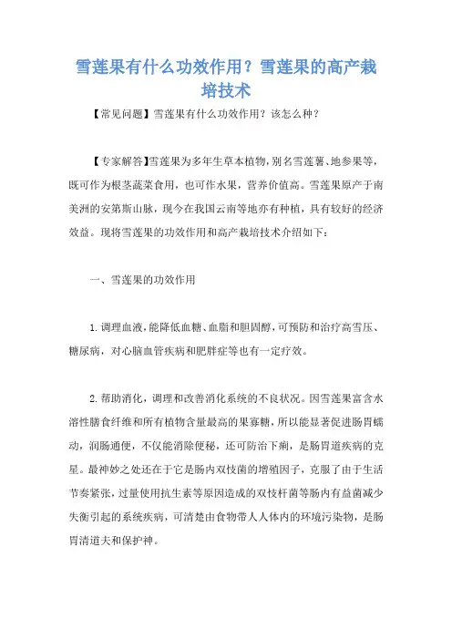 雪莲果有什么功效作用？雪莲果的高产栽培技术