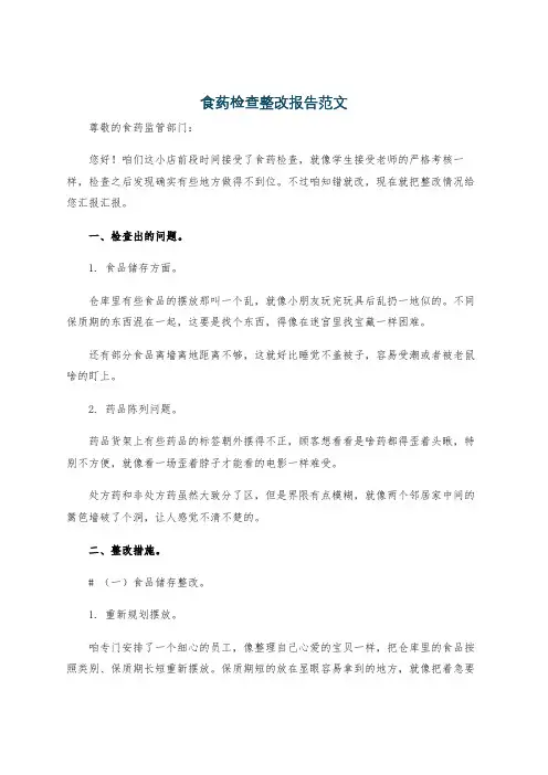 食药检查整改报告范文