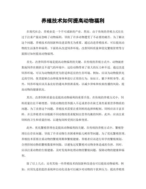 养殖技术如何提高动物福利
