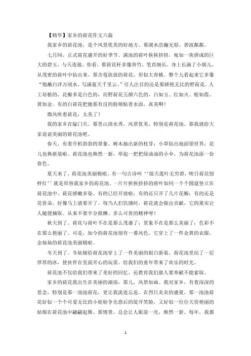 家乡的荷花作文精选