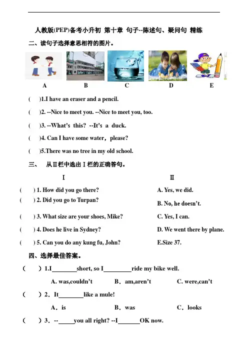 11人教版(PEP)备考小升初第十章句子--陈述句、疑问句精练(含答案)