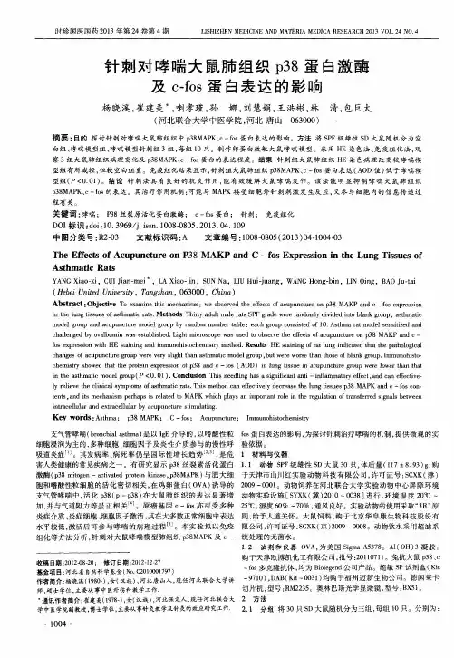 针刺对哮喘大鼠肺组织p38蛋白激酶及c-fos蛋白表达的影响