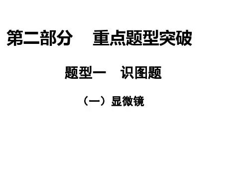 中考生物复习：识图题ppt(9份) 人教版