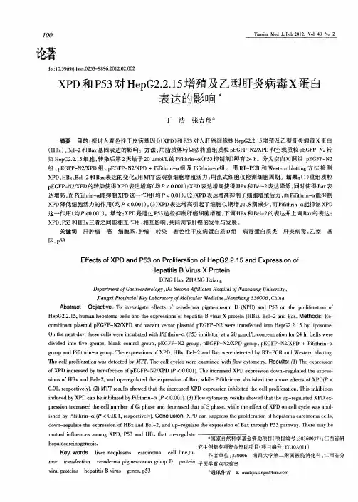 XPD和P53对HepG2.2.15增殖及乙型肝炎病毒X蛋白表达的影响
