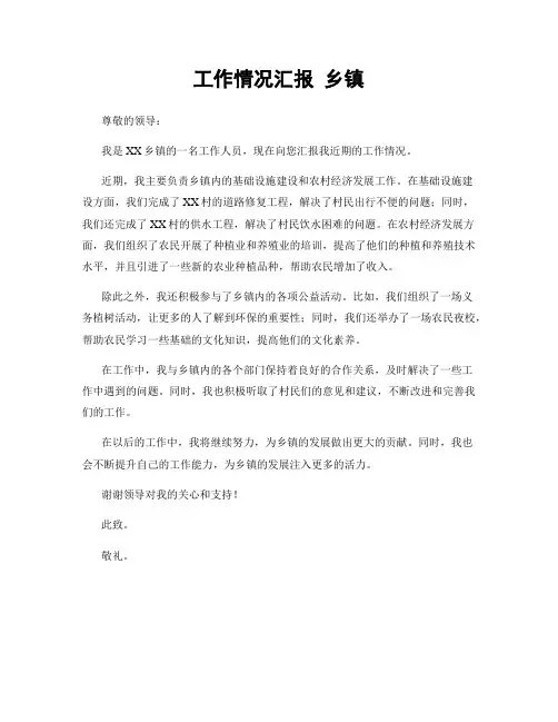 工作情况汇报 乡镇