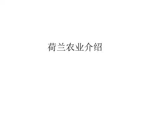 荷兰农业介绍