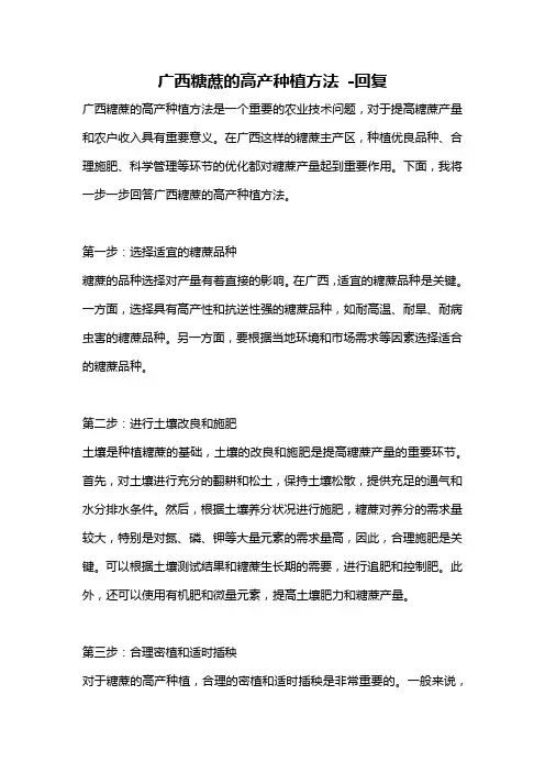 广西糖蔗的高产种植方法 -回复
