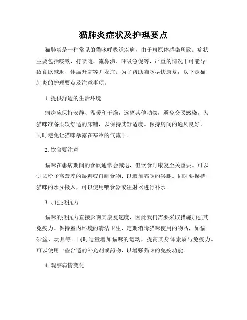 猫肺炎症状及护理要点