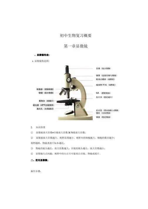 八年级生物复习总结概要.docx