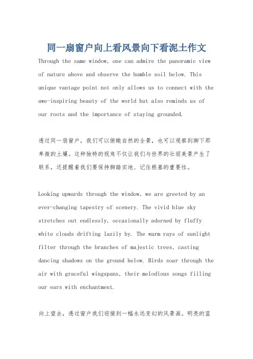 同一扇窗户向上看风景向下看泥土作文