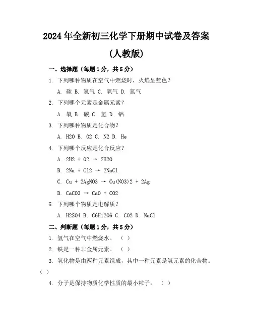 2024年全新初三化学下册期中试卷及答案(人教版)