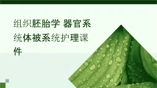 组织胚胎学 器官系统体被系统护理课件