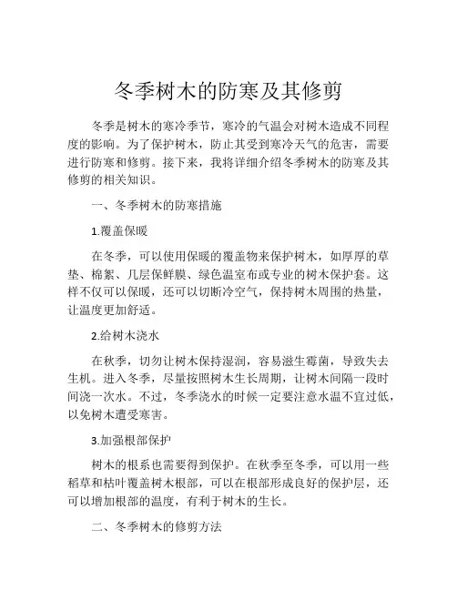 冬季树木的防寒及其修剪