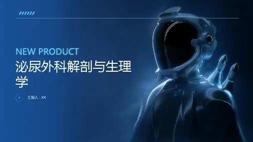 泌尿外科解剖与生理学