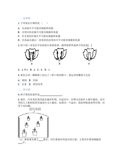 华东师大版科学 七年级下 第七章 植物和微生物的生殖与发育 课后练习题