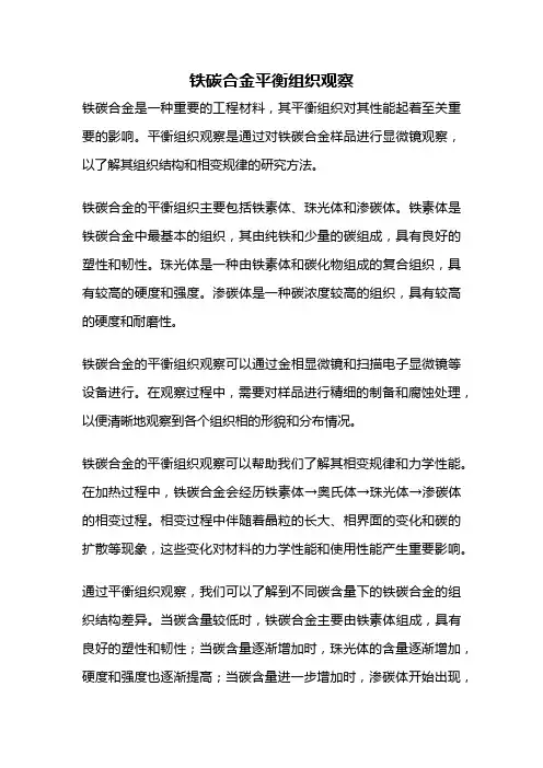 铁碳合金平衡组织观察