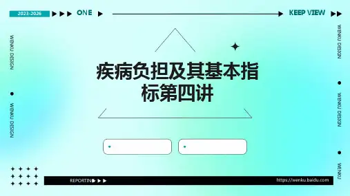 疾病负担及其基本指标第四讲