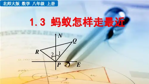 北师大版八年级数学上册《蚂蚁怎样走最近》课件