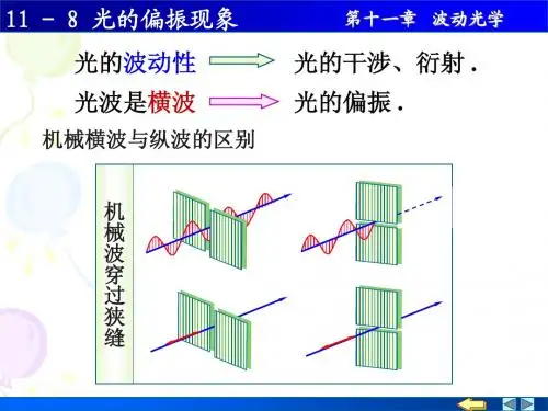 11-08 光的偏振现象