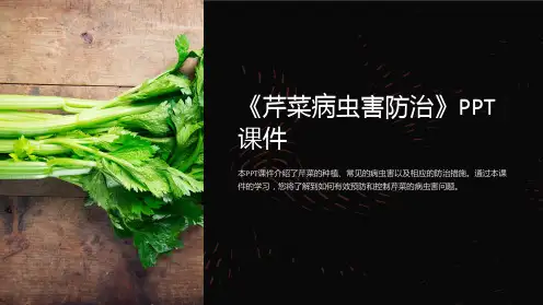 《芹菜病虫害防治》课件