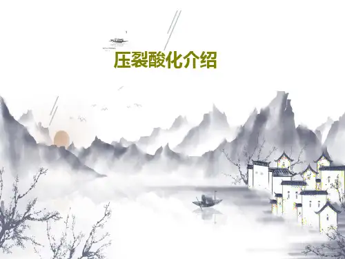 压裂酸化介绍共48页