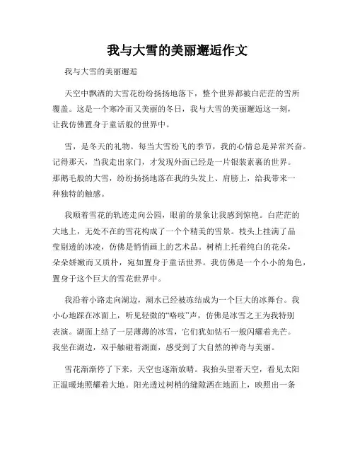 我与大雪的美丽邂逅作文