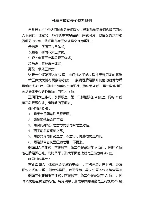 孙家三体式是个修为系列