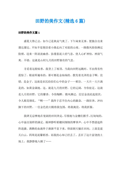 田野的美作文(精选6篇)