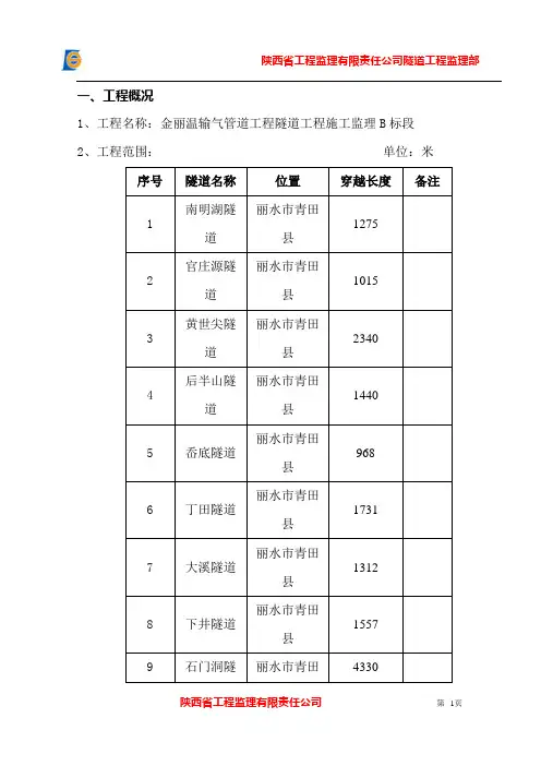 安全监理细则(隧道)