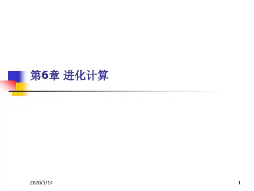 第6章 进化计算