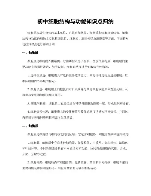 初中细胞结构与功能知识点归纳