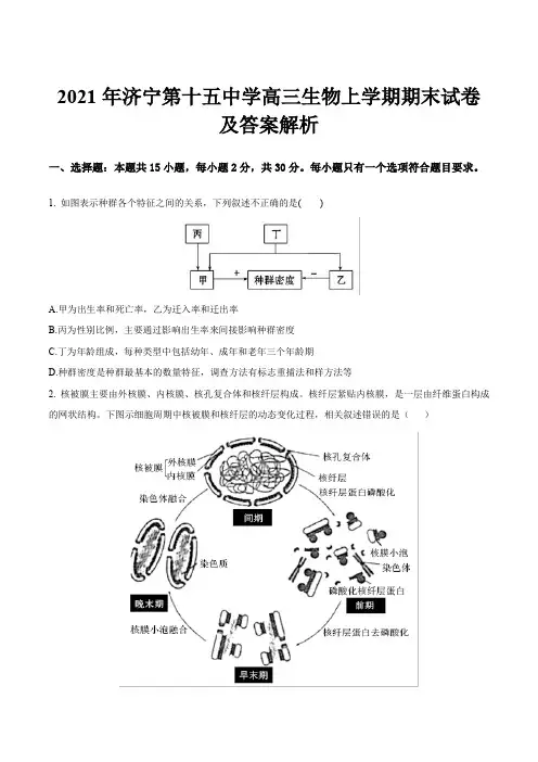 2021年济宁第十五中学高三生物上学期期末试卷及答案解析
