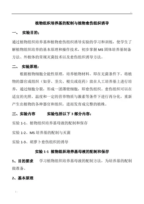 植物愈伤组织诱导培养实验指导--李老师