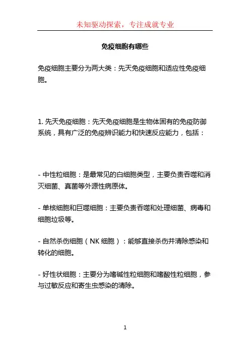 免疫细胞有哪些 (3)