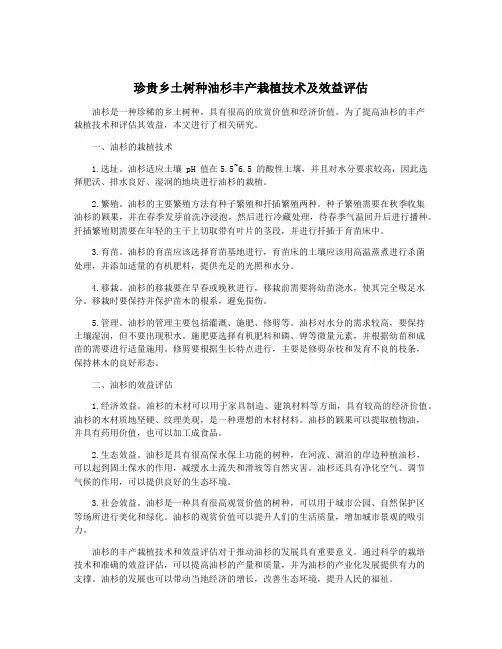 珍贵乡土树种油杉丰产栽植技术及效益评估