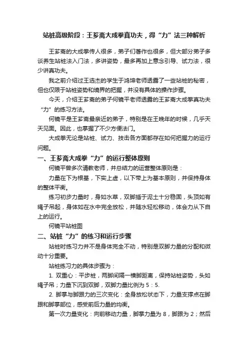 站桩高级阶段：王芗斋大成拳真功夫，得“力”法三种解析