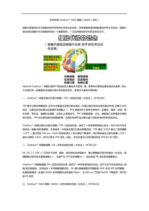 如何检测NAD激酶的活性？