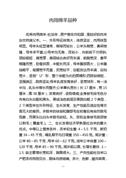 肉用绵羊品种