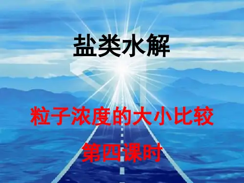 高中化学-第四课时 离子浓度大小比较10