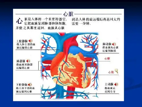 心力衰竭(内科学第八版)ppt课件