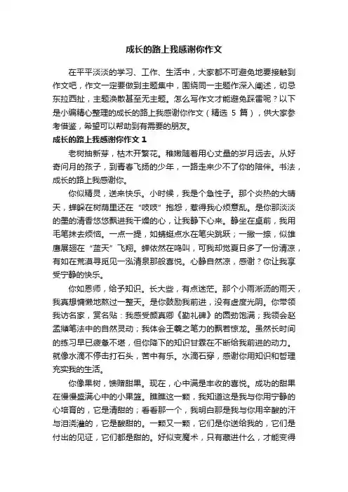 成长的路上我感谢你作文（精选5篇）