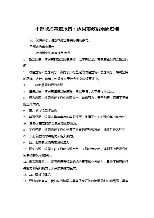 干部政治审查报告