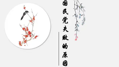 国民党失败原因 PPT 近现代史