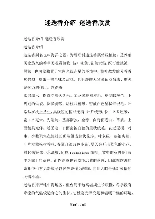 迷迭香介绍 迷迭香欣赏