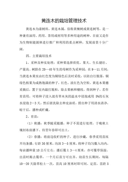黄连木的栽培管理技术