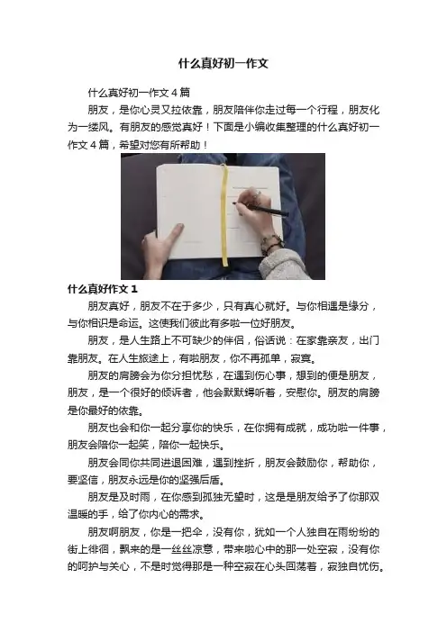 什么真好初一作文