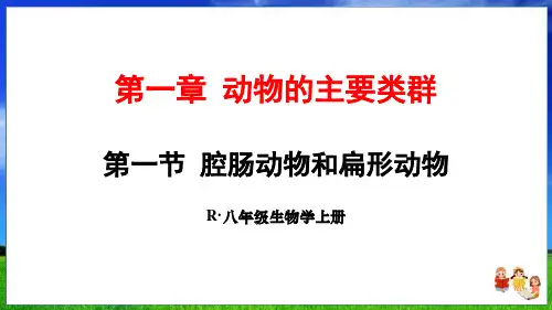 人教版生物八上第一章第一节 腔肠动物和扁形动物(37页附练习题)