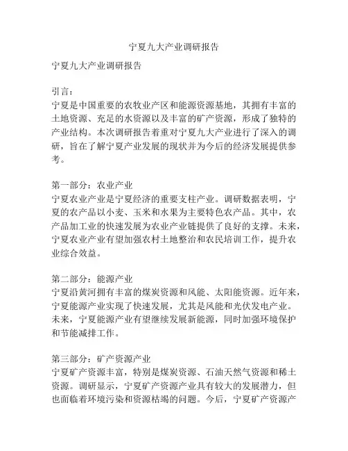 宁夏九大产业调研报告