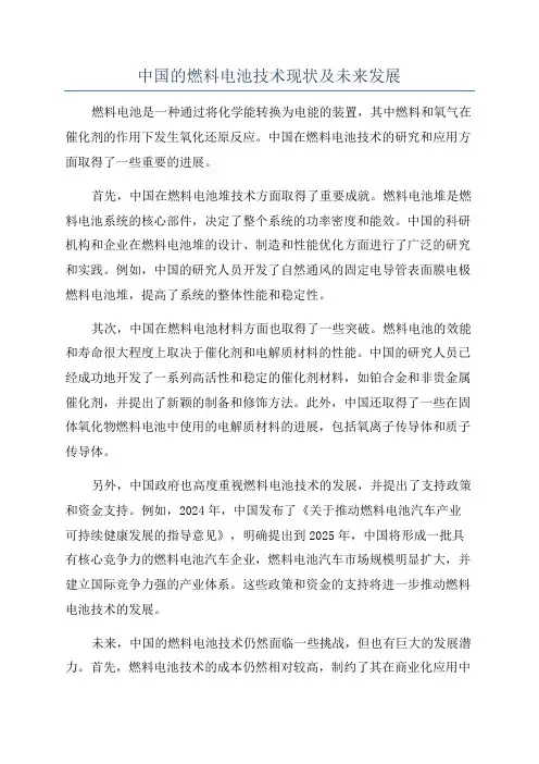 中国的燃料电池技术现状及未来发展